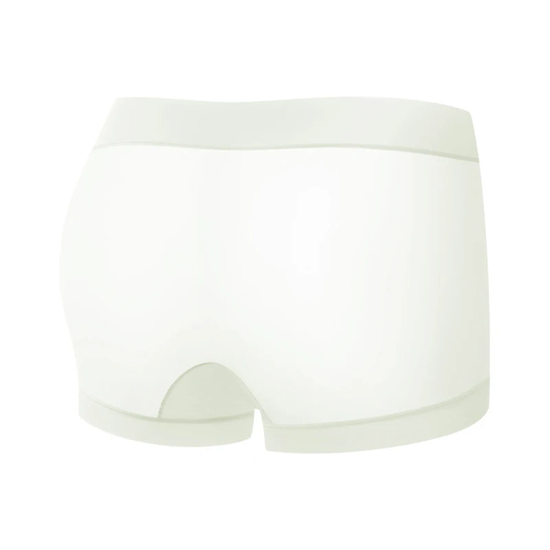 Summer Briefs Panties Women Micro Underwear Lady Ice Silk Woman Boxers Women's Shorts Transparent Linergie Sexy Panties Set Pack