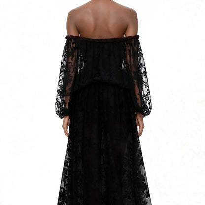 Elegant Luxury Off Shoulder Lace Maxi Dress, Black Sheer Cutout Long Sleeve Gown, Socialite Party Evening Dress For Women