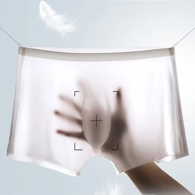 10 Pcs/Lot Men's Summer Ice Silk Boxers Briefs Seamless Underwear Lingerie Underpants Shorts Ultra-thin Breathable Sexy Panties