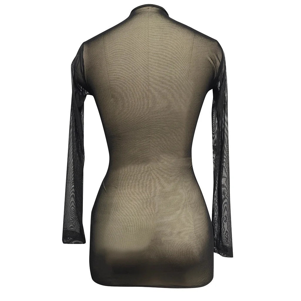 FREEAUCE Ladies Sexy See Through Dresses for Womens Autumn Winter Long Sleeve Casual Party Night Club Wear Mini Dress Plus Size